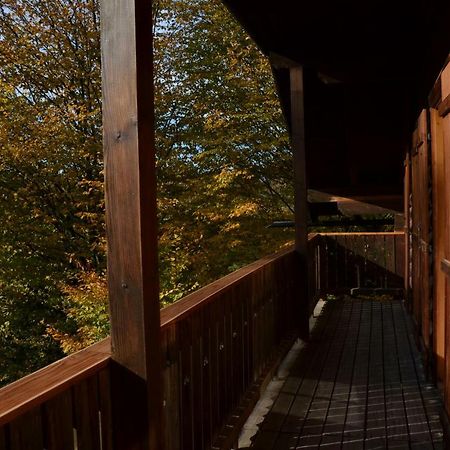 Ferienhaus Wagner 巴德伊舍 外观 照片